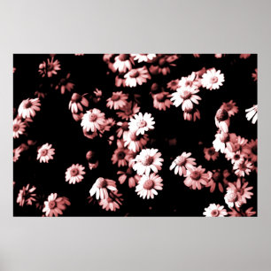 Poster Fleurs #4250 5 Imprimer