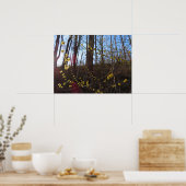 Poster Fleurs à épicéa au printemps (Cuisine)