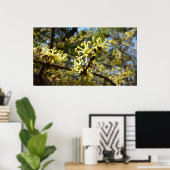 Poster Fleurs à puces de sorcière (Bureau à domicile)