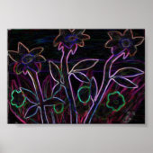 Poster Fleurs Aglow (Devant)