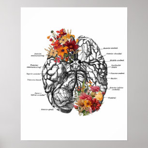 Poster Fleurs anatomiques du cerveau Art anatomique