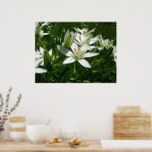 Poster fleurs blanches (Cuisine)