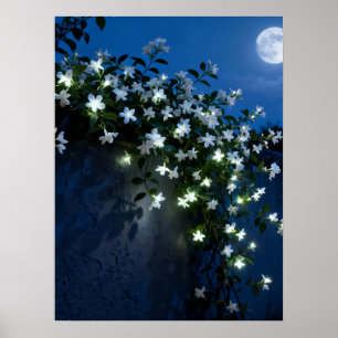 Poster Fleurs Blanches au Clair de Lune sur une Vigne Art