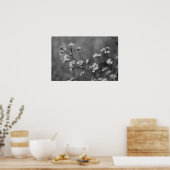 Poster Fleurs blanches B&W (Cuisine)