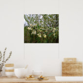 Poster Fleurs blanches crémeuses sur un buisson après la (Cuisine)