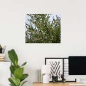 Poster Fleurs blanches crémeuses sur un buisson après la  (Bureau à domicile)