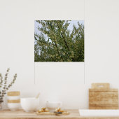 Poster Fleurs blanches crémeuses sur un buisson après la  (Cuisine)