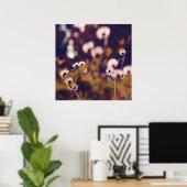 Poster Fleurs blanches dans Sunlight Purple Bokeh (Bureau à domicile)