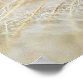 Poster Fleurs blanches de pissenlit (Coin)