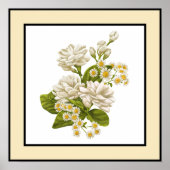 Poster Fleurs blanches marguerites Lignes noires Bordure  (Devant)