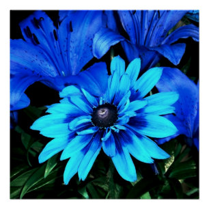 Poster Fleurs Bleu Électrique
