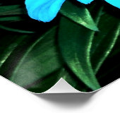 Poster Fleurs Bleu Électrique (Coin)