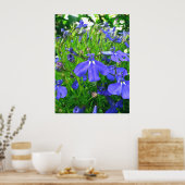 Poster fleurs bleues (Cuisine)