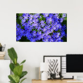 Poster Fleurs bleues à la marguerite Nature Photographie (Bureau à domicile)