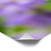 Poster Fleurs bleues délicates sur un champ vert dans un  (Coin)