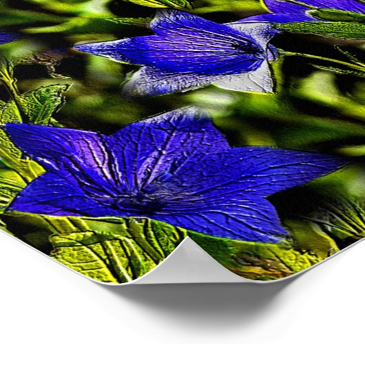Poster Fleurs Bleues Motif d'art nature (Coin)
