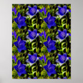 Poster Fleurs Bleues Motif d'art nature (Devant)