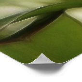 Poster Fleurs bleuets (Coin)