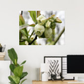Poster Fleurs bleuets (Bureau à domicile)