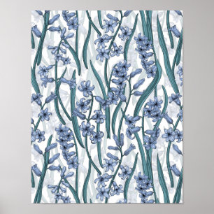 Poster Fleurs Blue Hyacinth sur blanc
