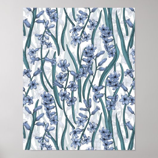 Poster Fleurs Blue Hyacinth sur blanc (Devant)