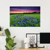 Poster Fleurs | Bluebonnets à Sunset Texas (Bureau à domicile)