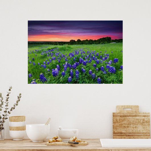 Poster Fleurs | Bluebonnets à Sunset Texas (Cuisine)