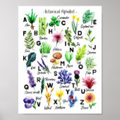 Poster Fleurs botaniques mignonnes Alphabet Baby Nursery (Devant)