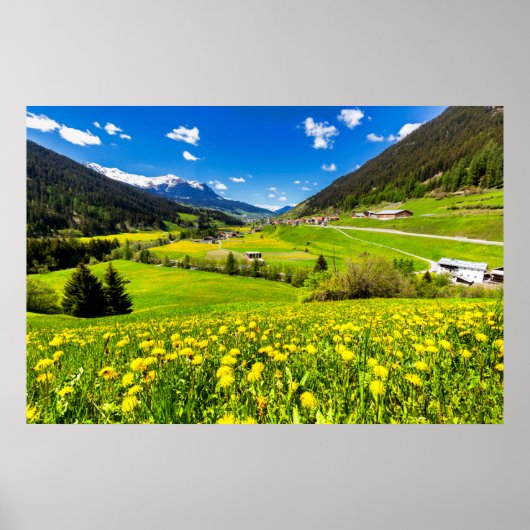 Poster Fleurs | Canton des Grisons de Dandelion, Suisse (Devant)
