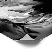 Poster Fleurs Cardiaques Saignantes En Noir Et Blanc Abst (Coin)