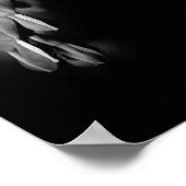 Poster Fleurs Cardiaques Saignantes Noir Et Blanc Abstrai (Coin)