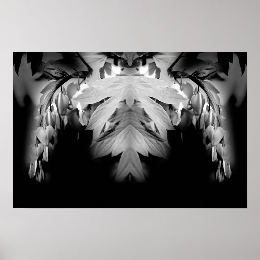Poster Fleurs Cardiaques Saignantes Noir Et Blanc Abstrai (Devant)