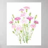 Poster fleurs carnation rose (Devant)