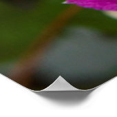 Poster Fleurs chez Robinette's Apple Haus & Gift Barn (Coin)