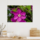 Poster Fleurs chez Robinette's Apple Haus & Gift Barn (Cuisine)