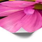 POSTER FLEURS CLAIRES ET COLORÉES (Coin)