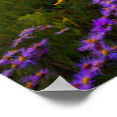 Poster Fleurs | Colorado Fleur sauvage violet (Coin)