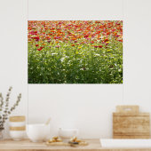 Poster Fleurs Colorées de Printemps (Cuisine)