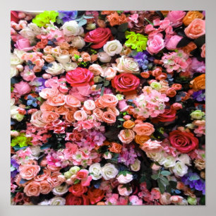 Poster Fleurs colorées en Bouquet floral fleuri