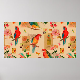 Poster Fleurs colorées et perroquets motif