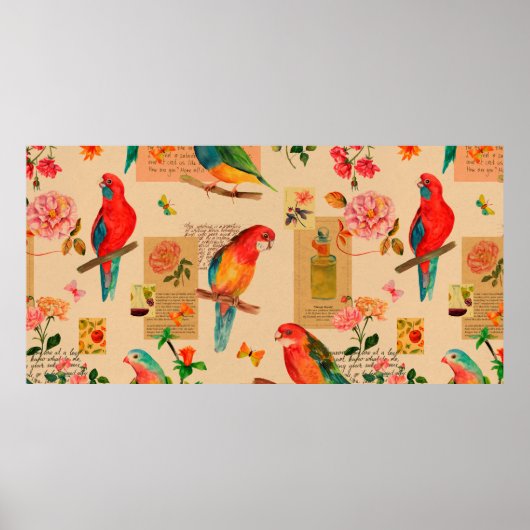 Poster Fleurs colorées et perroquets motif (Devant)