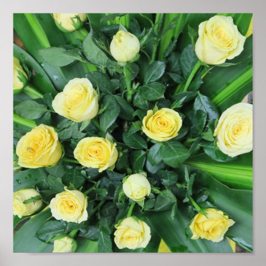 Poster fleurs+ colorées, gnome de jardin+, (Devant)