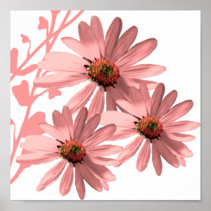 Poster Fleurs coniques
