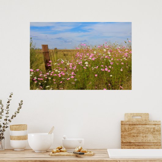 Poster Fleurs Cosmos dans le champ (Cuisine)
