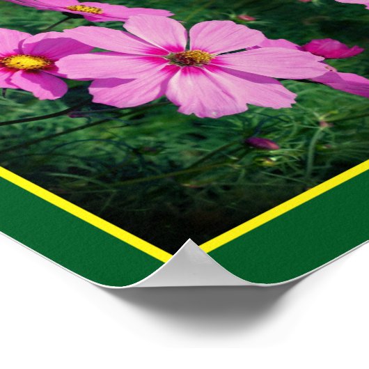 Poster Fleurs Cosmos rose miroir Abstrait (Coin)