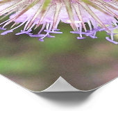 POSTER FLEURS D'ABEE ET DE TEASEL (Coin)