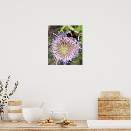 POSTER FLEURS D'ABEE ET DE TEASEL (Cuisine)