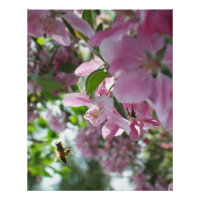 Fleurs d'abeilles et de crabes de miel