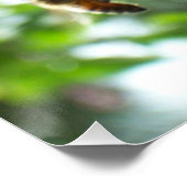 Poster Fleurs d'abeilles et de crabes de miel (Coin)