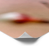 Poster Fleurs d'abricot japonaises attrayantes (Coin)